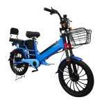 Export customized dual lithium battery electric bicycles with ultra long range and rear folding shelves